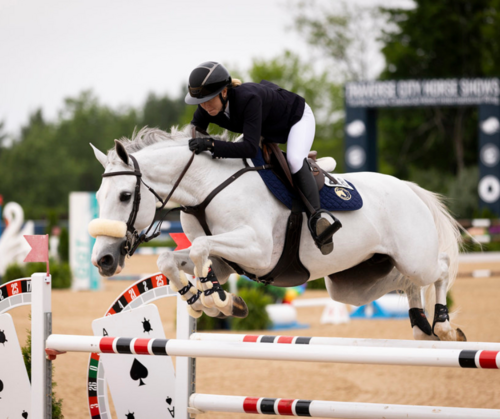 Saturday Show Jumping Spectacular in Traverse City image