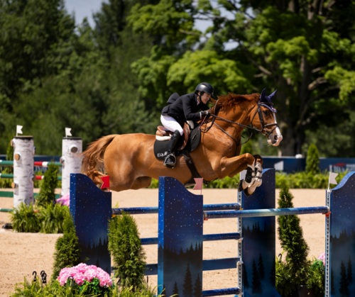 High-Stakes Horse Jumping in Traverse City image
