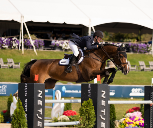 Sunday Show Jumping in Traverse City image