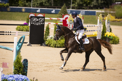 World-Class Horse Jumping in Traverse City image